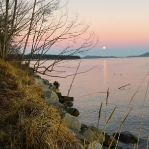 310 -- Guemes Channel Trail, Shoreline vistas and wildlife